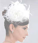 alabany birdcage veil
