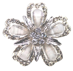 janessa broachmacey broach